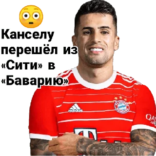 🇵🇹 emoji @M_Hamidjon Telegram sticker 15 of 20