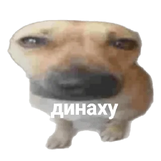 😤 emoji Мемы Telegram sticker 5 of 96