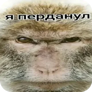 🖼 emoji Аппендицит Telegram sticker 14 of 98