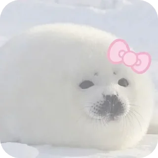 ❤ emoji @STICKRULE <- БОЛЬШЕ Telegram sticker 22 of 25