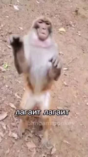 😮‍💨 emoji Клан Бананов —> @EternalBanana Telegram sticker 9 of 40