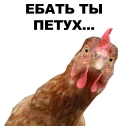😐 emoji Петушары @eeZee_stickers Telegram sticker 15 of 42
