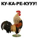 😵 emoji Петушары @eeZee_stickers Telegram sticker 18 of 42