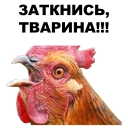 💀 emoji Петушары @eeZee_stickers Telegram sticker 13 of 42