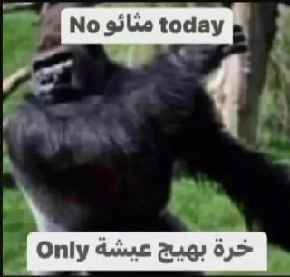 😠 emoji شانكس البائس 
@f_alit Telegram sticker 11 of 120