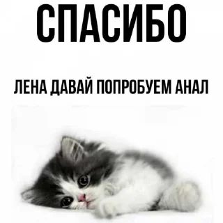 Sticker from Быстро на поле