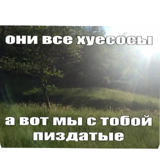 🖼 emoji жизненные надписи Telegram sticker 17 of 41