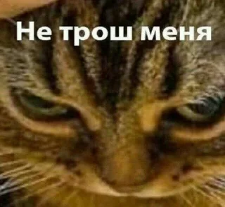 Sticker from блембо