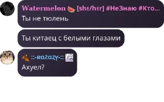 🌀 emoji Коти от Расазьки №2 Telegram sticker 7 of 113
