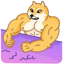 😠 emoji Doge Telegram sticker 17 of 35