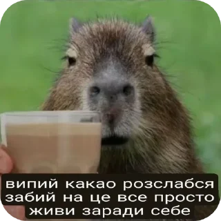 Sticker from джізес