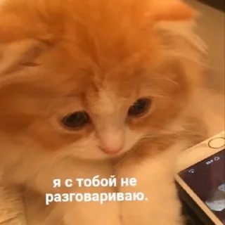😭 emoji Бывает Telegram sticker 7 of 90