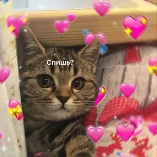 😴 emoji Бывает Telegram sticker 5 of 90