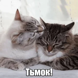 😚 emoji Бывает Telegram sticker 10 of 90