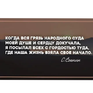 👍 emoji Русский Матъ автор @Whatahellisgoing Telegram sticker 10 of 54