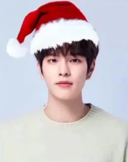 🌟 emoji Stray kids Christmas Telegram sticker 5 of 14