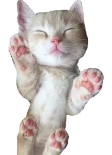 Sticker from башкирский мёд оптом