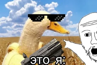 Sticker from Сесед топ