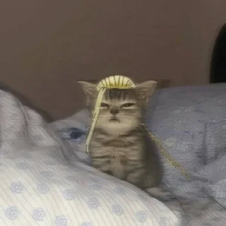 🥄 emoji Токийские коты Telegram sticker 12 of 43