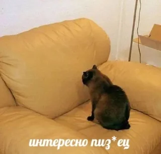 🗿 emoji MeMÎKaT Telegram sticker 24 of 77