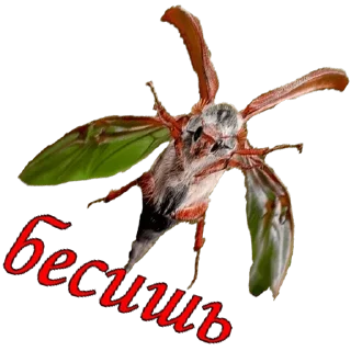 🤬 emoji жуки пауки Telegram sticker 18 of 100