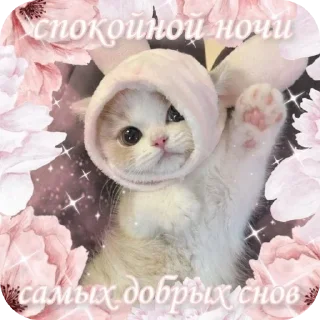 🌙 emoji Kitticetics Telegram sticker 13 of 89