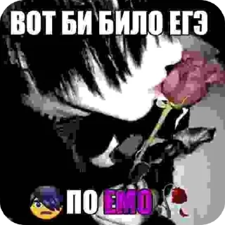😔 emoji я твою мамку на шампуре вертела🥺 Telegram sticker 6 of 117