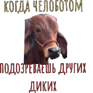 🧐 emoji Arena Breakout Telegram sticker 21 of 41