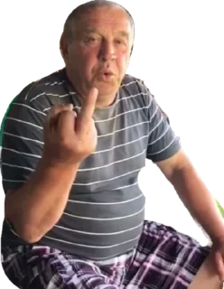 🖕 emoji САНЫЧ Telegram sticker 5 of 20