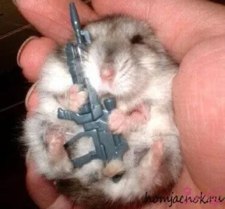 🐹 emoji Хома. (Бифидобактерии объявили войну) Telegram sticker 6 of 40