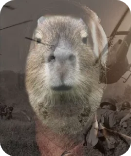 🇻🇳 emoji Capybara228 Telegram sticker 8 of 27