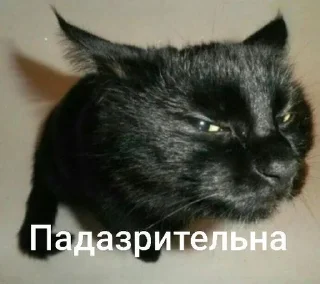 🐱 emoji my prec13ous 👺 @iamgedyku Telegram sticker 15 of 78