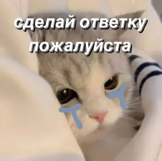 😏 emoji @saintwb СТИКЕРЫ ДЛЯ АДМИНОВ Telegram sticker 16 of 39