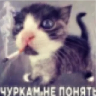 👀 emoji Ебейшие стики Telegram sticker 17 of 67