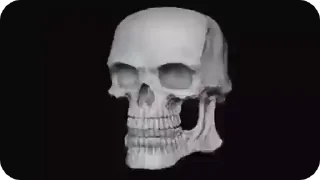 💀 emoji ЕБЕЙШИЕ СТИКИ ROBA Telegram sticker 17 of 70