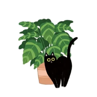 🐱 emoji Divamavia.plants : Telegram sticker 14 of 49