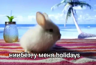 🌟 emoji алоха Telegram sticker 7 of 98
