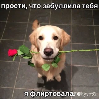 🌟 emoji алоха Telegram sticker 23 of 98