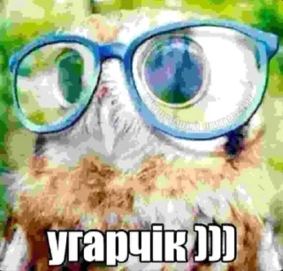 🌟 emoji йокаламене Telegram sticker 17 of 44