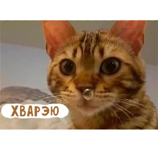 🌟 emoji няшкі Telegram sticker 5 of 30