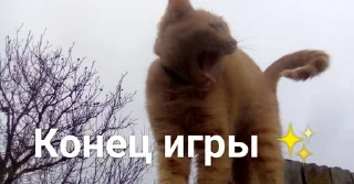💓 emoji Касперина Telegram sticker 10 of 19