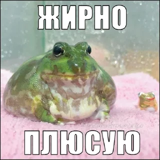 ✅ emoji жаби йопта Telegram sticker 13 of 22