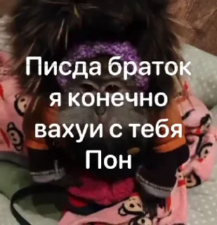 🌟 emoji РОССИЯ, от @Hgf_newfegas Telegram sticker 7 of 53