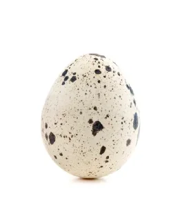 🥚 emoji Яйца Telegram sticker 9 of 10