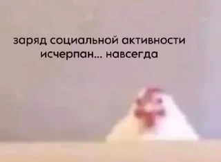 🤡 emoji уаауааауа Telegram sticker 12 of 80