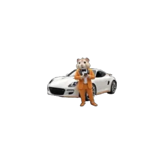 🐹 emoji Hamsters combat Telegram sticker 20 of 26