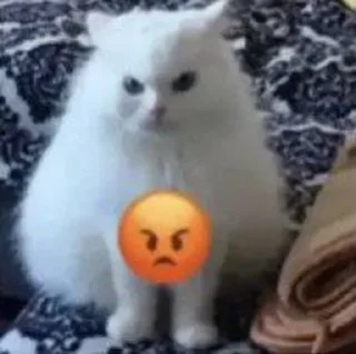 😡 emoji cranberryjuice Telegram sticker 21 of 104