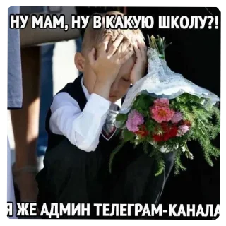 ✋ emoji Волосатый пенис бобра Telegram sticker 7 of 113