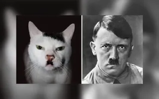 🐱 emoji Eva Braun & Adolf Hitler Telegram sticker 20 of 20