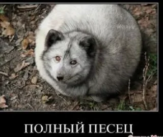 🌟 emoji пиздец завтра в школу Telegram sticker 22 of 34